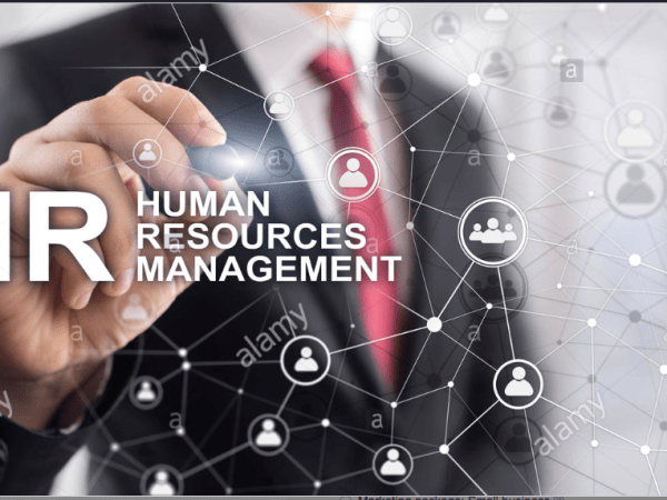 How do MNEs and SMEs enterprises sustain their performance in the global&nbsp;market